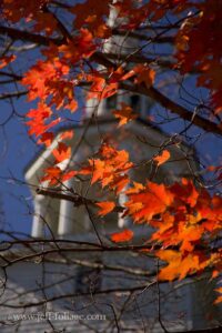 a Maple with a few orange and red leaves still on it allow you to see the churches steeple with the blue sky surrounding it