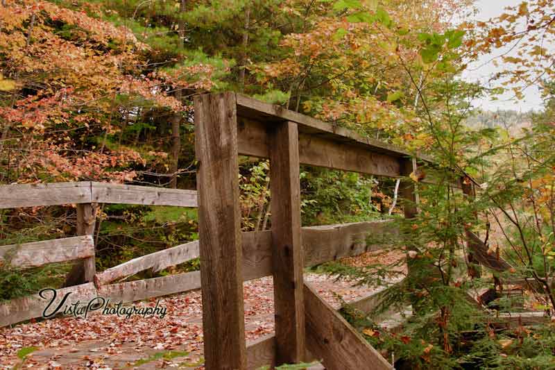 New Hampshire rail trail in the fall foliage of autumn
