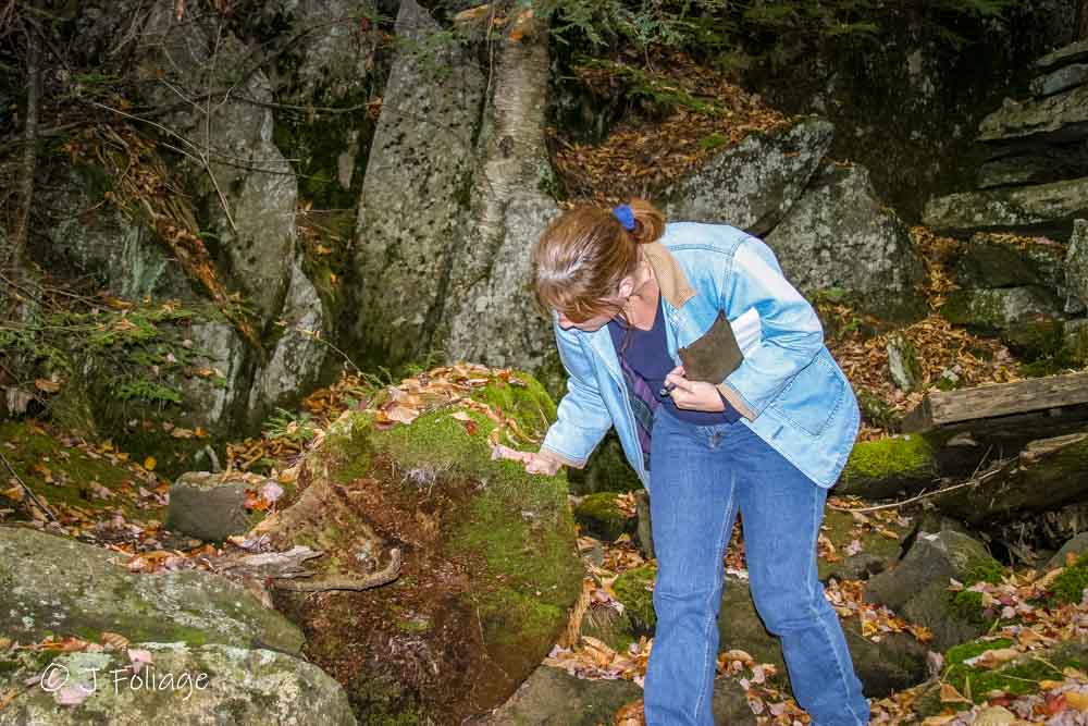 Lisa checking the moss depth on a boulder