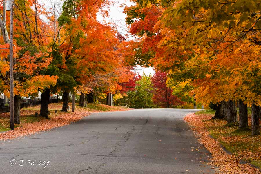 New Salem Massachusetts fall colors along the main street