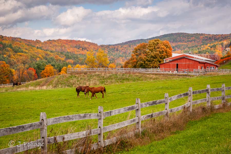 Vermont farm with horses in the foreground and fall colors on the hills above the red farm buildings