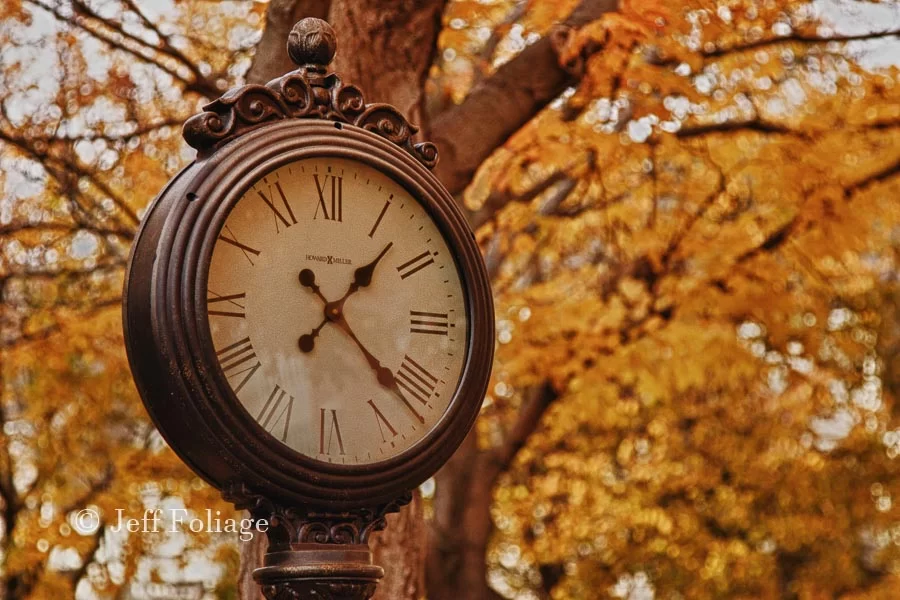 free standing clock against a background of golden fall color in Salem