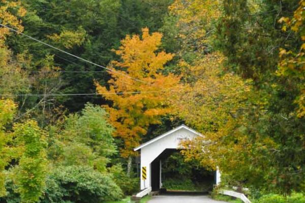 Comstock covered bridge foliage Vermont