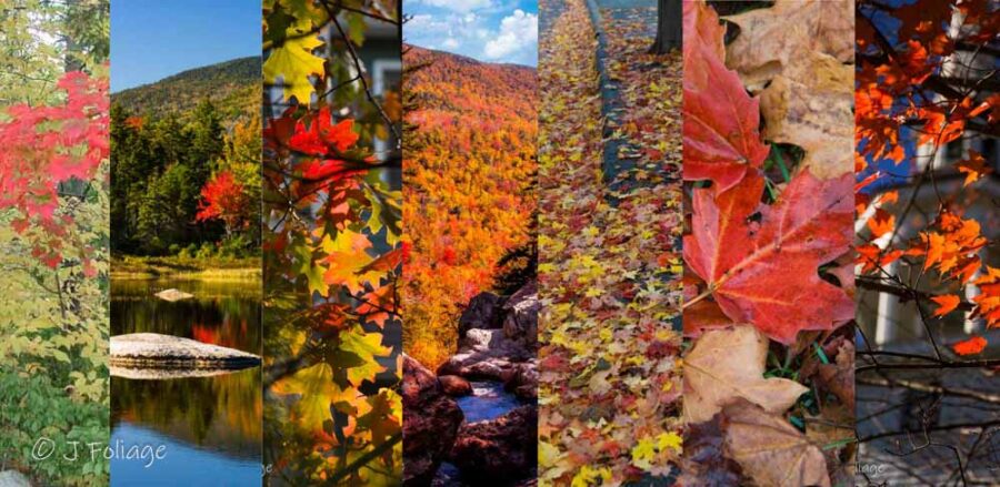 A Panoramic series of 7 images depicting the progression of the fall colors.  color as part of the 6-step process...