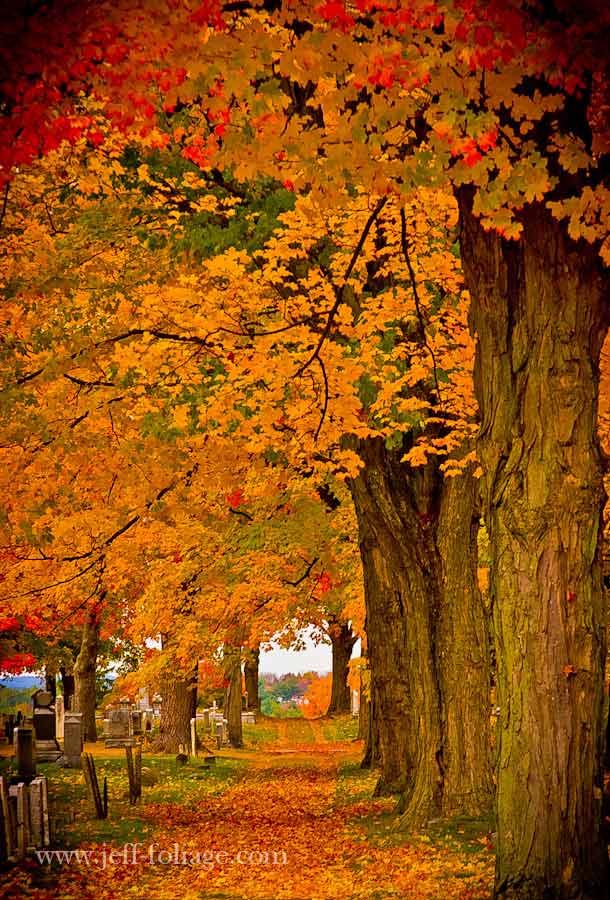 A New Hampshire cemetery with fall foliage colors as far as the eye can see.