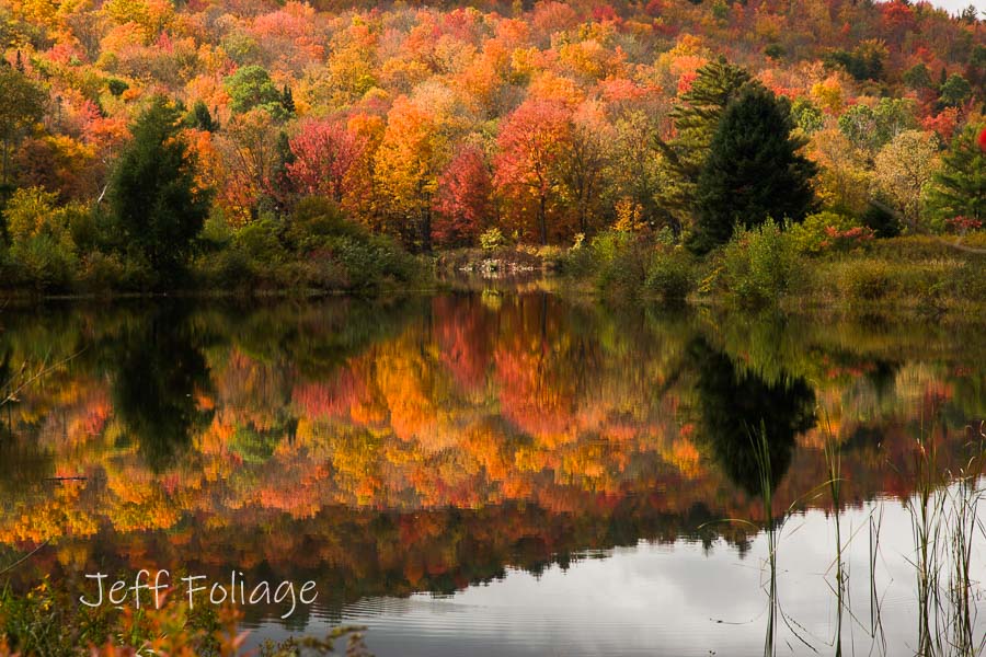 Coffin pond with the fall colors mirrored in the surface of the pond
