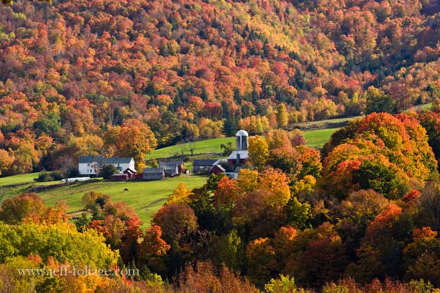 Tapestry of fall colors surround farm in VT