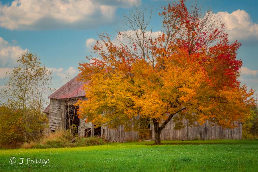 Old Vermont Barn in fall colors on 1 October