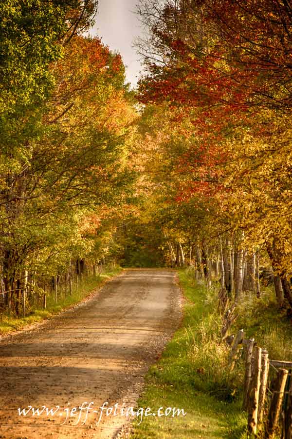 A farmers back road in peacham Vermont during New England fall foliage.