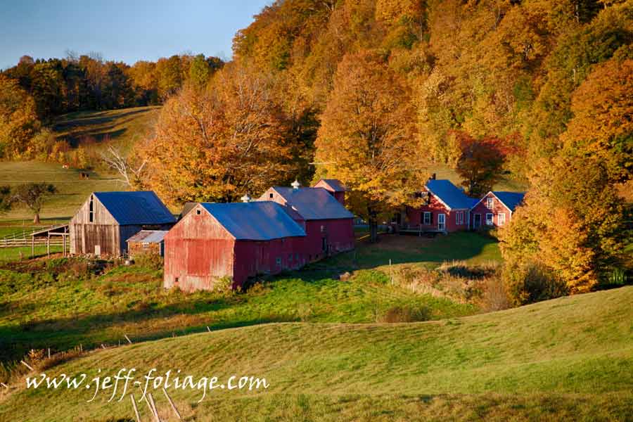 Jenne farm at dawn in October