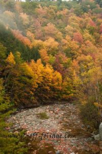 The massachusetts fall colors just climb the hills on either side of the Mohawk Trail