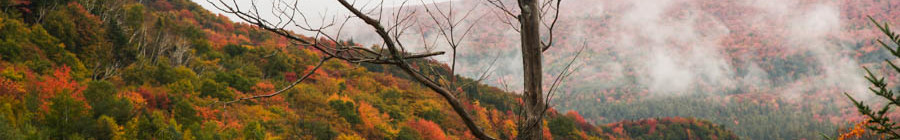 View of Sugar Hill covered in blazing sugar maples all in red as seen from Kinsman Notch