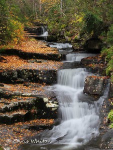 Autumn makes waterfalls a location to shoot for.  From bridal falls to Kinsman notch. you can visit Beaver Brook Cascades and Little Hellgate Falls are great  water falls in fall.