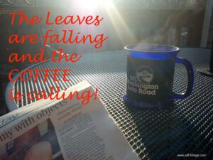 cup of coffee in fall on my deck