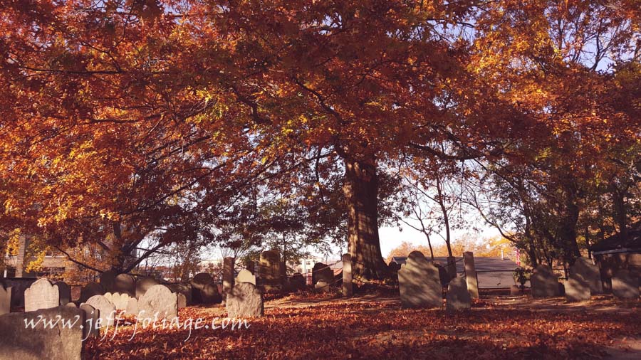The Old burying point in Salem Ma with late fall colors in November