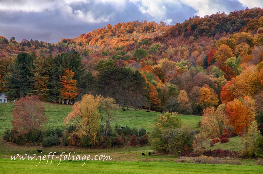 Idyllic Vermont scenic drive up cloudland road to stage rd.
