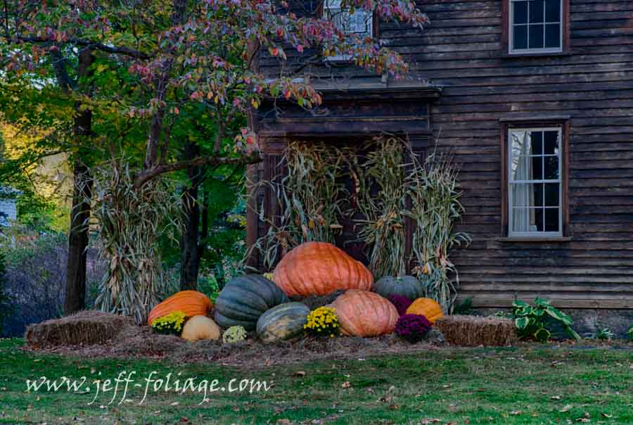 pumpkins on a doorstep in Historic Deerfield Massachusetts