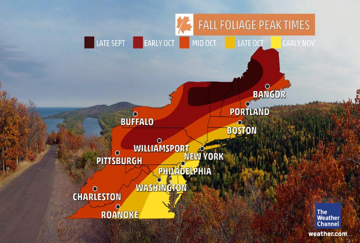 foliage map from tv