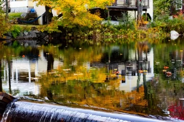 tamworth pond reflection in fall