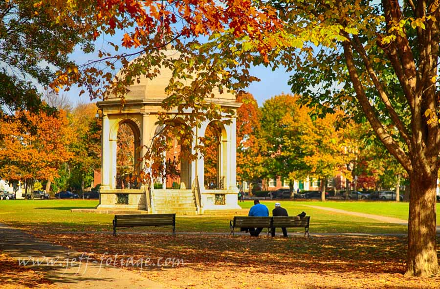 New England Photography of fall foliage in Salem Massachusetts