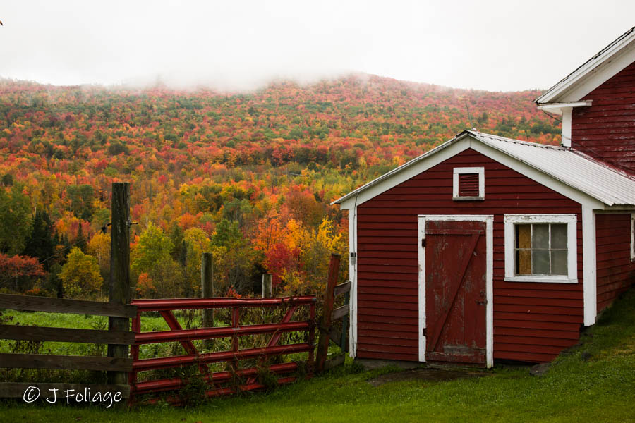 Farm shed in red in Sugar Hill in front of a hill full of colorful maples