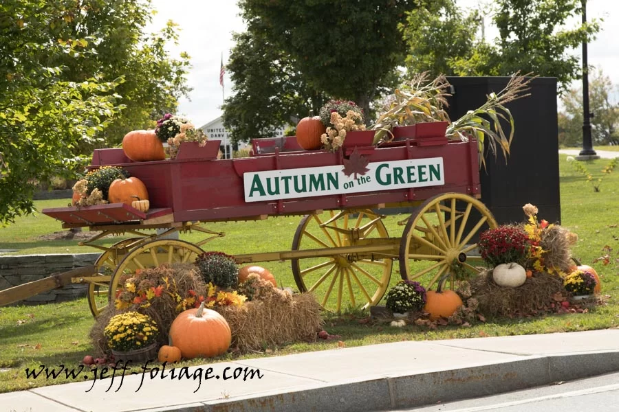 Danville's autumn on the green