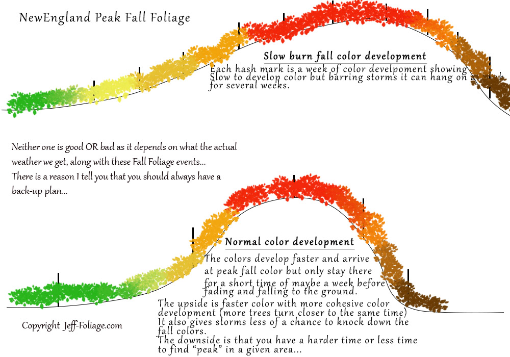 An example chart of a Slow-burn fall color development