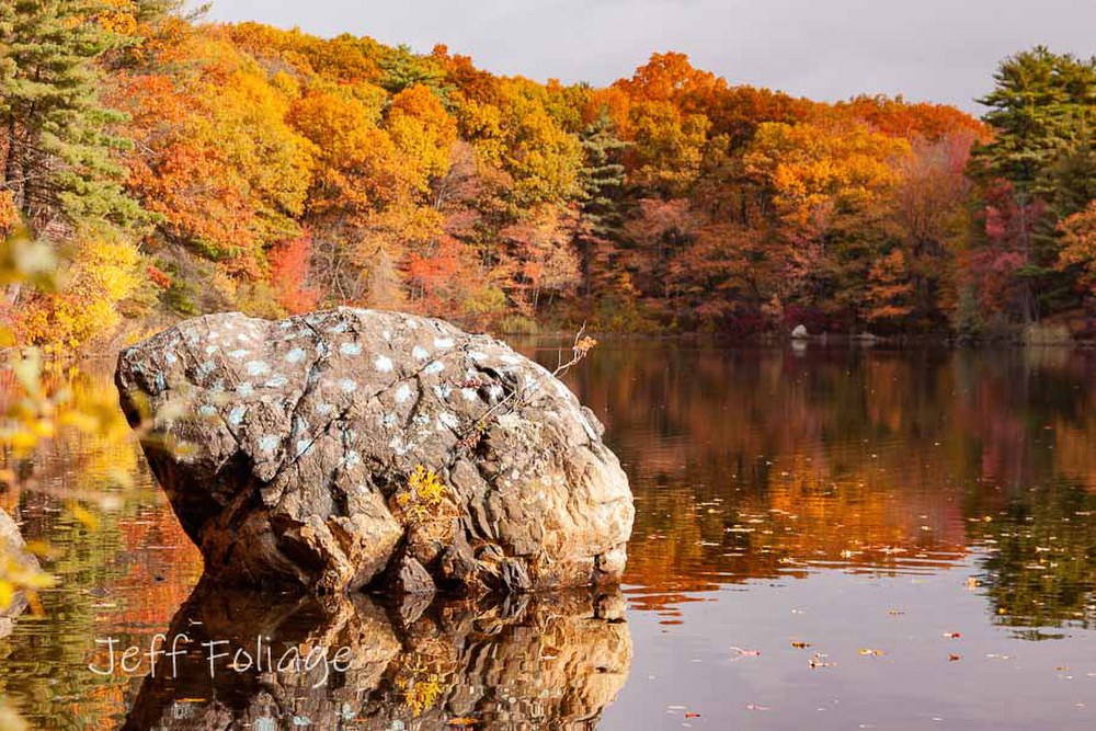 Frog rock in Birch pond with fall colors