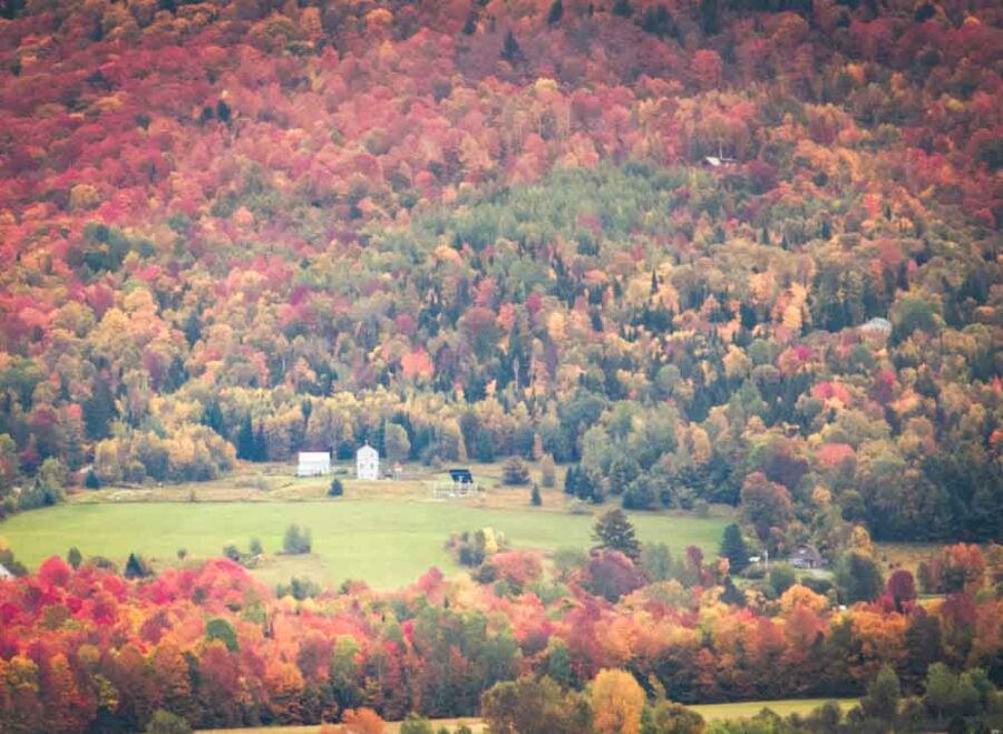 Early peak fall foliage in Burke Vermont