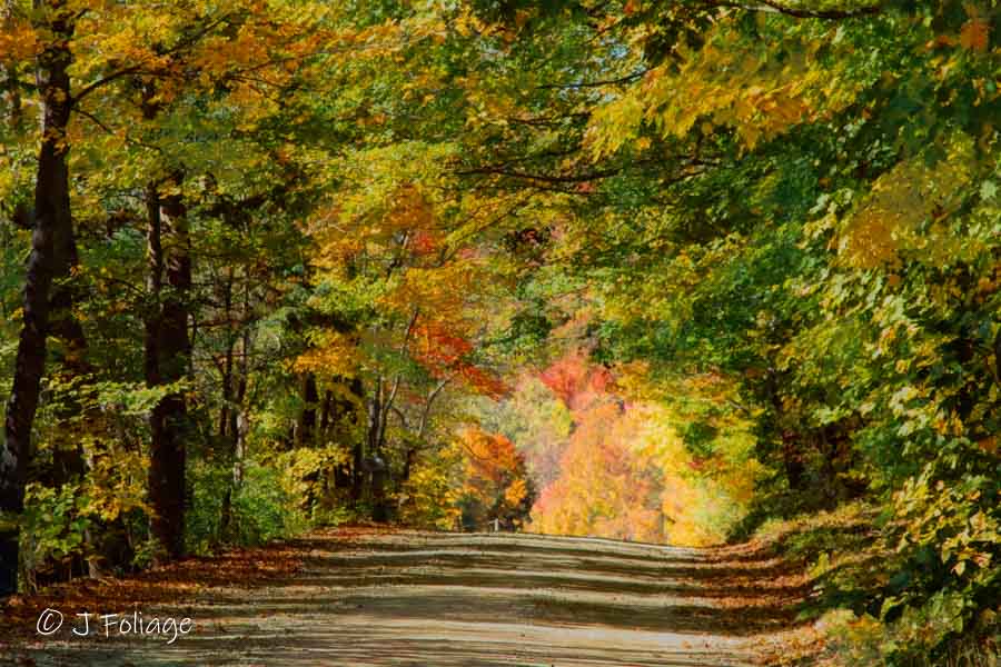 A vermont country farmers road in the Green Mountains of Vermont