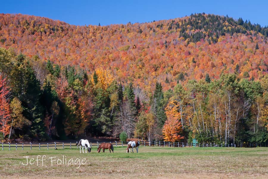 Best Foliage In New England 2023