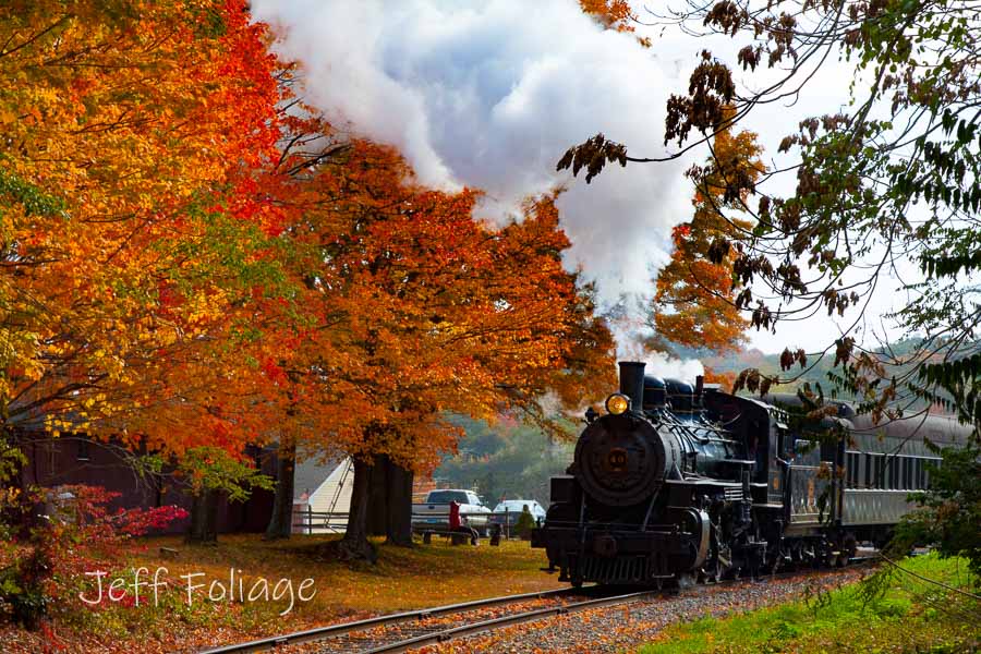 orange and red fall colors above the Connecticut steam locomotive