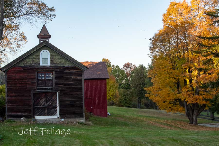 red barn with yellow fall foliage