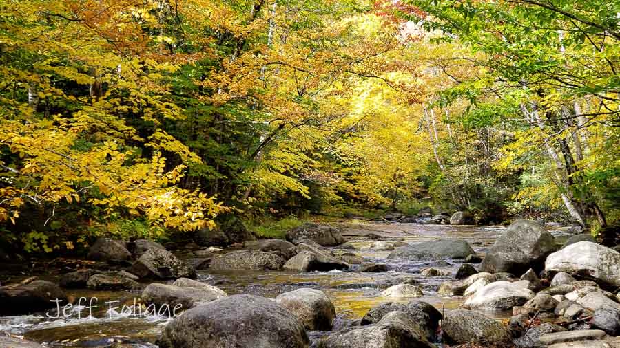 Fall colors in Maine and New Hampshire and what is to come this week...
