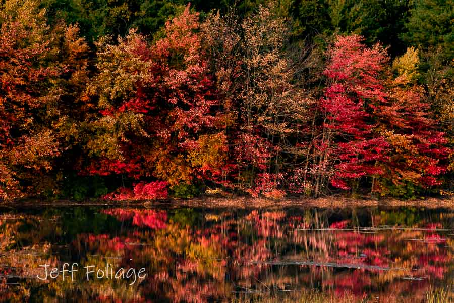 Rhode Island pond reflection of fall colors