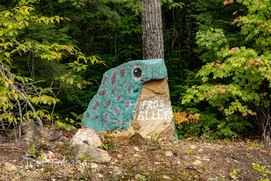 frog alley sign in stone