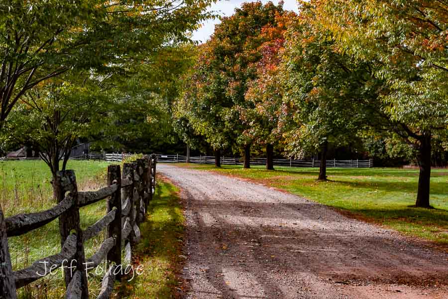 A farm road with rustic wood fences in autumn