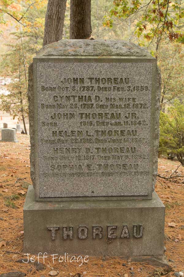 Thoreau and his family on Authors Ridge in Sleepy Hollow