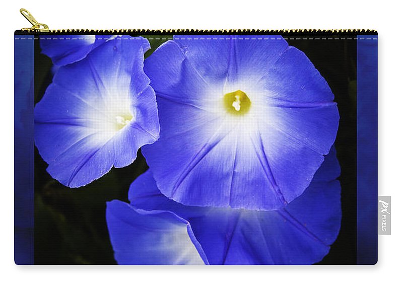 Blue morning glories on a zippered purse