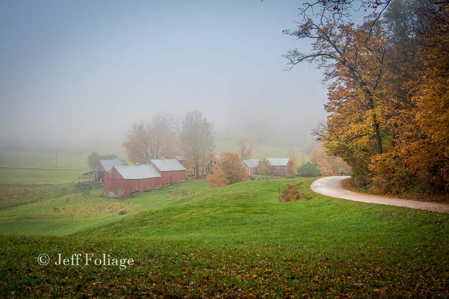 jenne farm on a foggy October afternoon