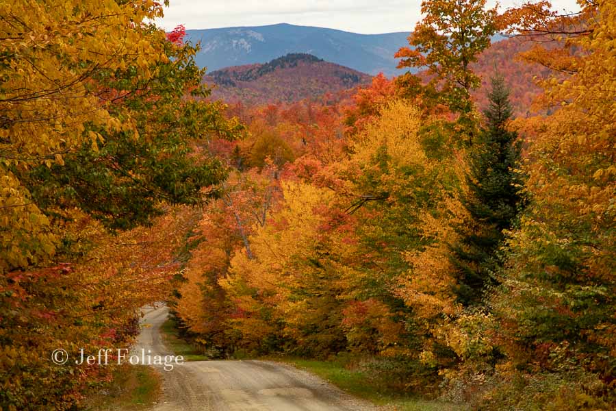 Vermont farm road surrounded by beautiful fall colors