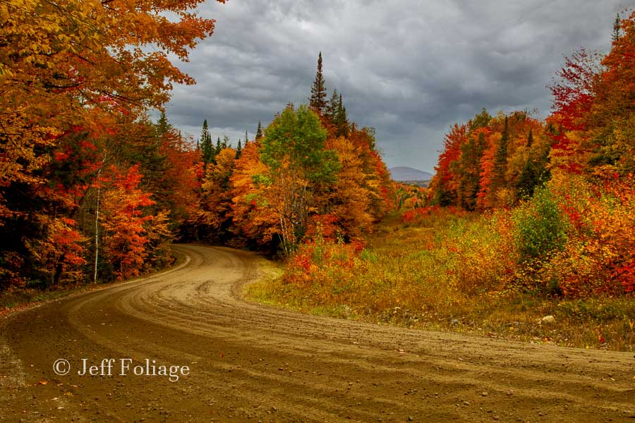 peak fall foliage in Granby Vermont
