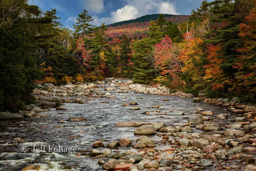 pemmigewasset river in autumn fall colors