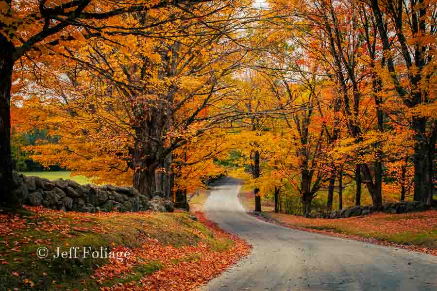 a winding road through fall colors