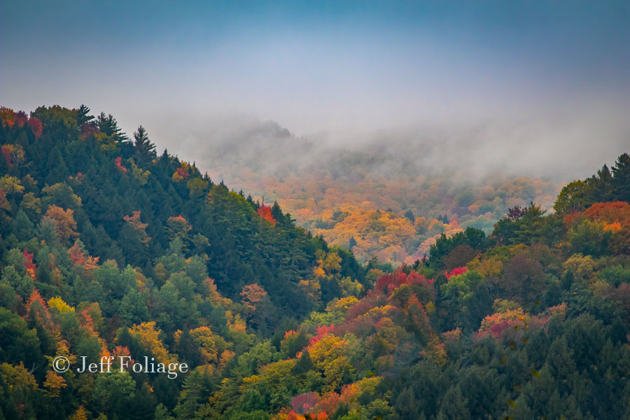 view of the fall colors from NH rest stop