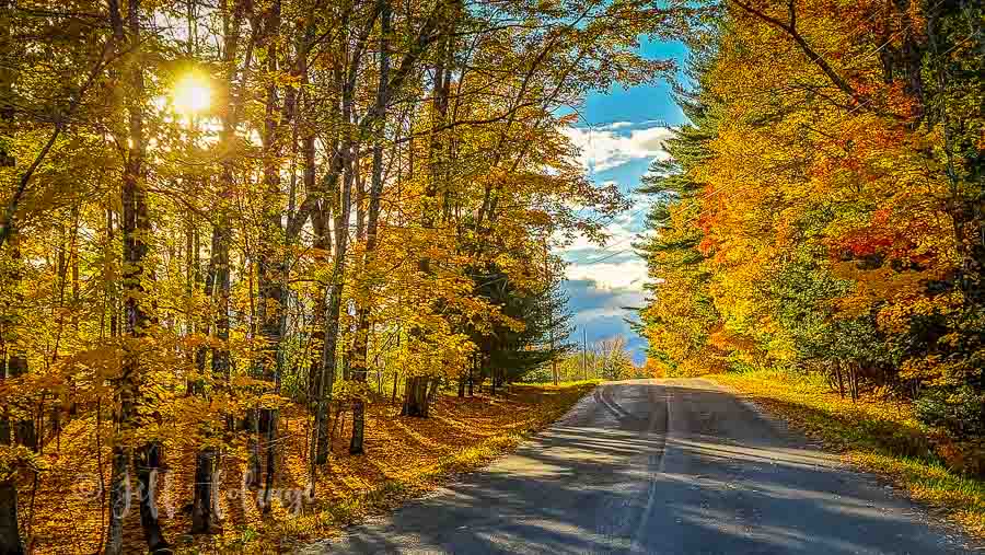 Levant Maine in fall colors