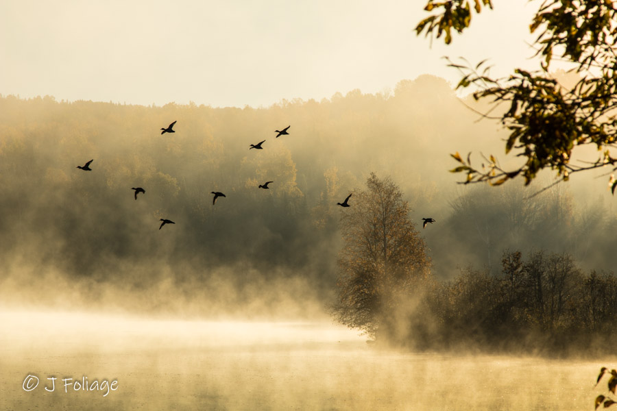 Morning fog on Haley Pond in Rangeley Maine
