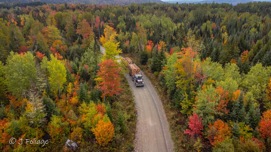 Log hauler on Long Falls Dam Road coming through the fall colors