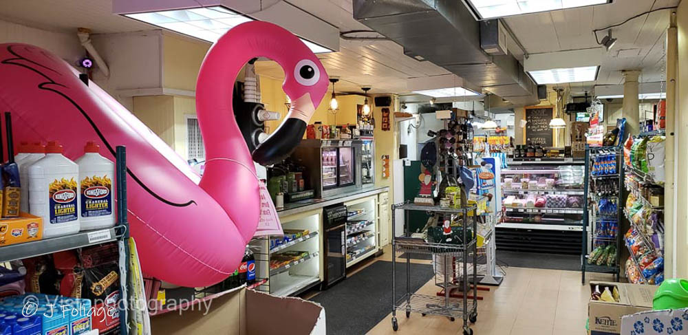 flamingo in the Alfred Country Store
