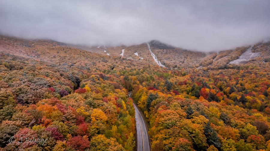 snowliage on Mount Mansfield